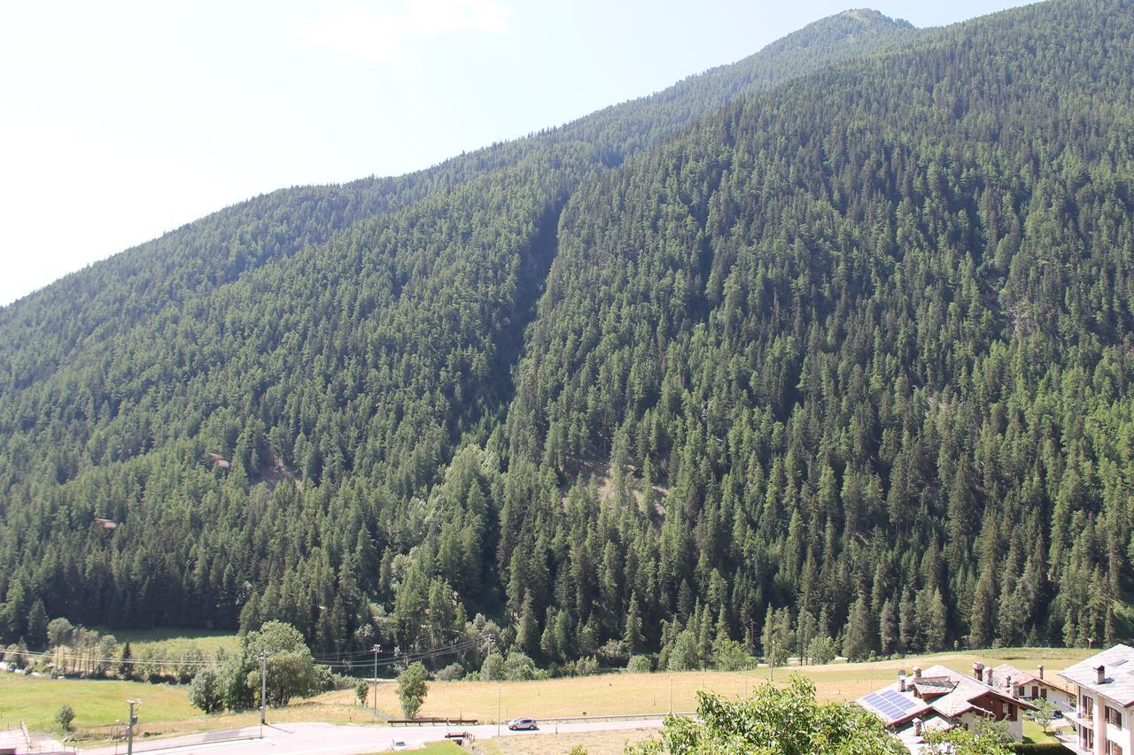 Mont Velan Chambres & Restaurant Saint-Oyen Εξωτερικό φωτογραφία